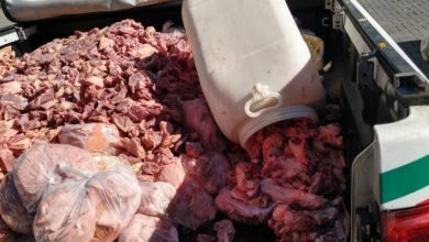 Photo of Vigilância Sanitária apreende mais de 2 toneladas de alimentos estragados no fim de semana