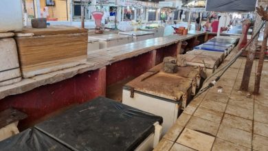 Photo of Mercado e Feirinha do Tabuleiro recebem mutirão de limpeza na segunda (17)