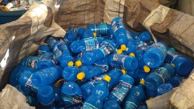 Photo of Dia da Reciclagem: cooperativas recolhem 100 toneladas de materiais por mês