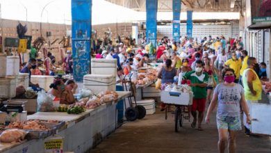 Photo of Mercados e feiras funcionam com horário reduzido nesta quarta-feira (8)
