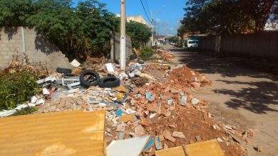 Photo of Prefeitura retira 70 toneladas de resíduos e planta 100 mudas de árvores no bairro do Prado