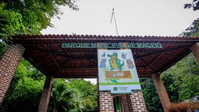 Photo of Desenvolvimento Sustentável lança projeto Parque nas Escolas a partir de quarta (1º)