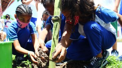Photo of Educação realiza ação de arborização e sustentabilidade na Escola Maria José Carrascosa
