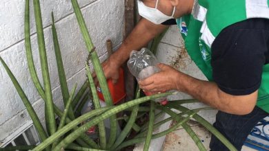 Photo of Incidência de casos de dengue aumenta e Saúde alerta população para a prevenção