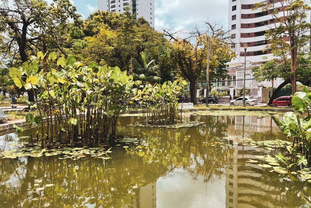 Praça de Burle Marx em Recife. Foto: Ascom Sedet