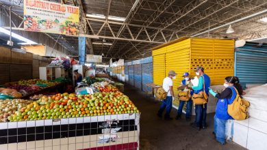 Photo of Mercado da Produção e feiras recebem serviços de desratização e dedetização