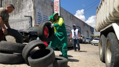 Photo of Maceió Unida Contra Dengue intensifica coleta de pneus de 18 a 23 de outubro