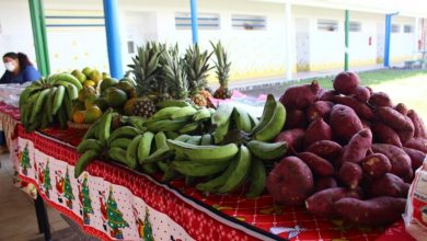 Photo of Prefeitura de Maceió lança edital para aquisição de alimentos da agricultura familiar