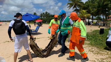 Photo of Prefeitura faz parceria com Praia Limpa e retira mais de 100 kg de lixo em Guaxuma
