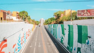 Photo of “Mais Cor Maceió” vai transformar viaduto do Jacintinho em galeria a céu aberto