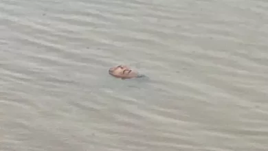 Photo of Corpo em decomposição é encontrado por pescadores no Rio Mundaú