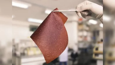 Photo of Cientistas transformam casca de banana em bioplástico